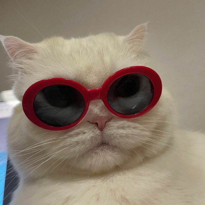 多风格个性微信头像