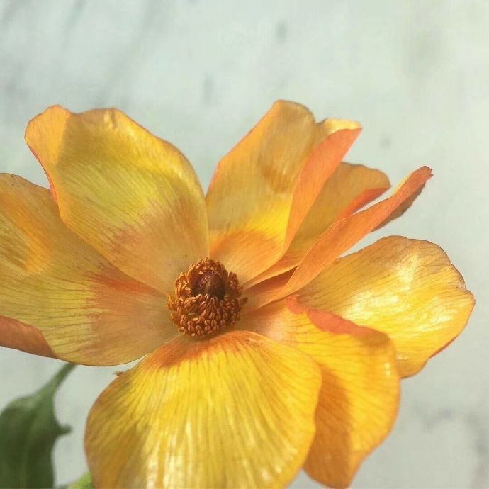 今日份的治愈色微信朋友圈背景图