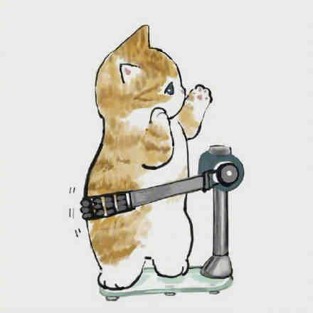 猫咪减肥计划可爱微信表情包