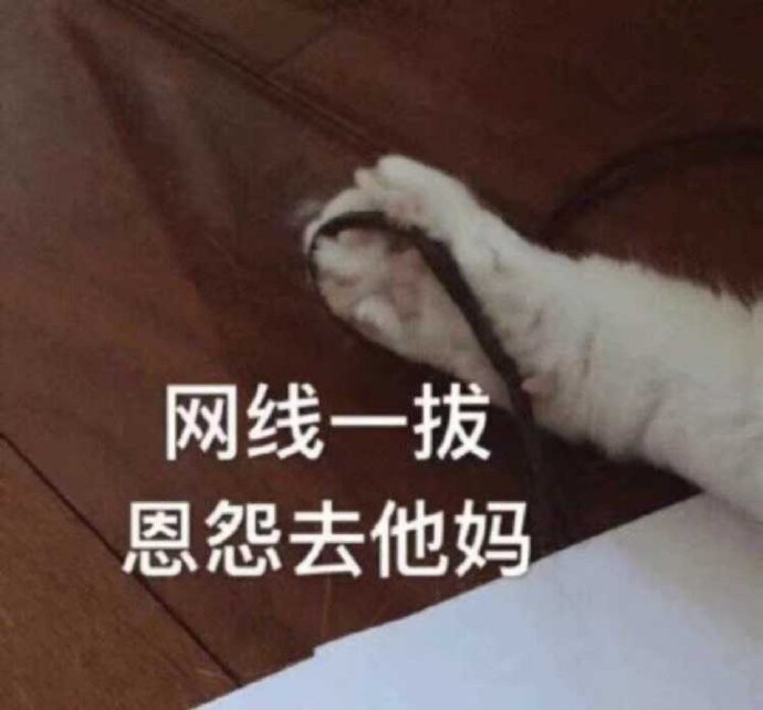 怼人耍赖小猫咪微信表情包