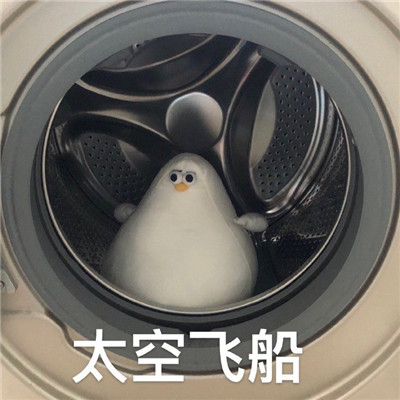 魔性海鸥搞笑微信表情包