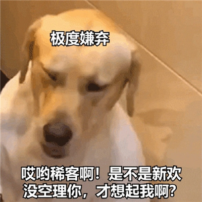 搞怪的趣味表情包