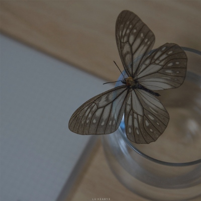 ins文艺小清新的风景微信头像