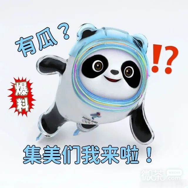 冰墩墩闪亮登场表情包