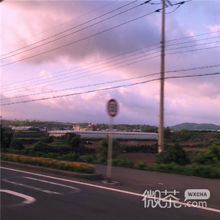 小清新简单好看的微信朋友圈背景图