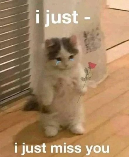 想你英文版搞笑聊天微信表情包