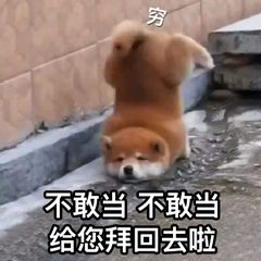 沙雕拜年微信表情包