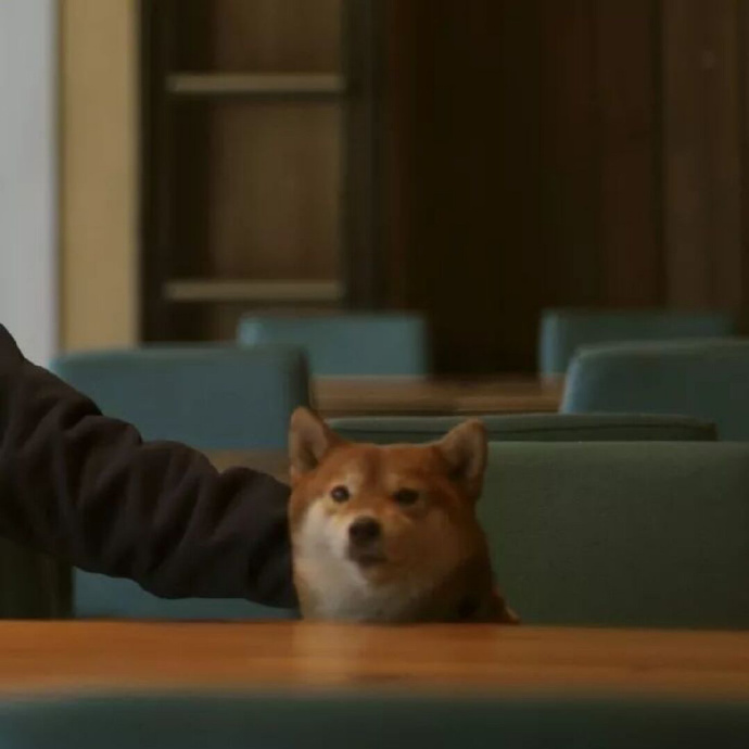 沙雕可爱搞怪情侣头像