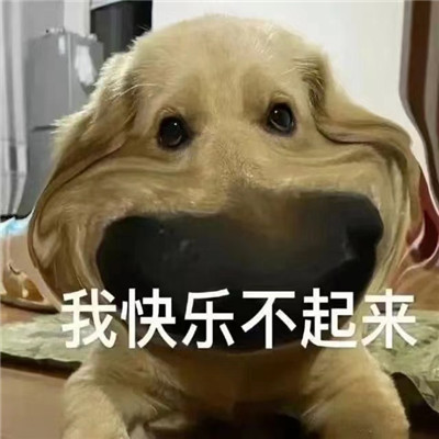 大冤种表情包合集