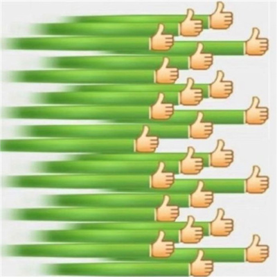 超级火的经典表情包