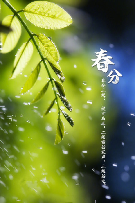 春分好看的微信素材图片