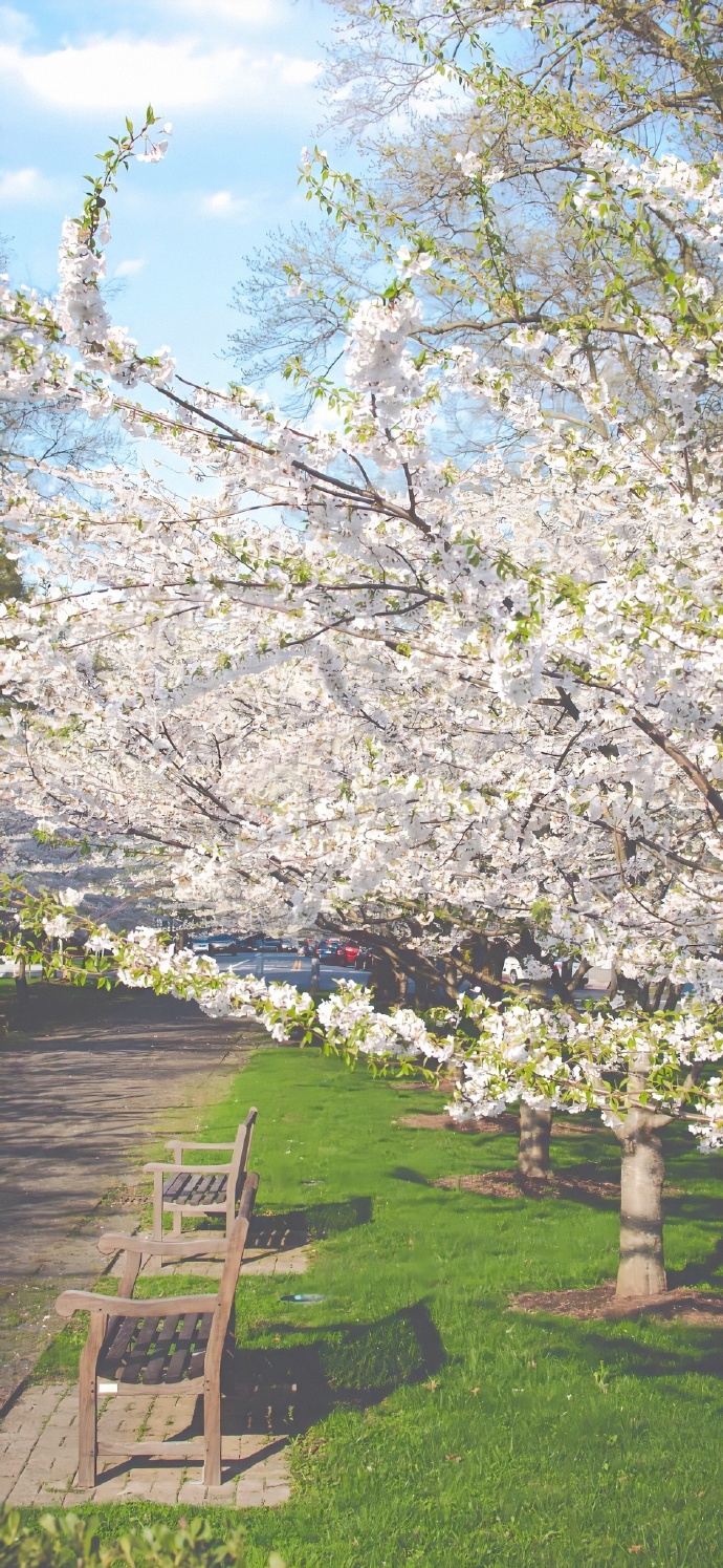 春天治愈风光微信朋友圈配图
