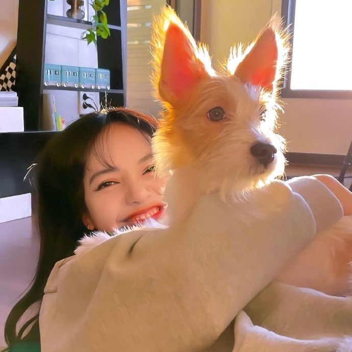 小动物与美女的个性微信头像