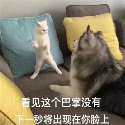 生气暴走不服干架微信表情包