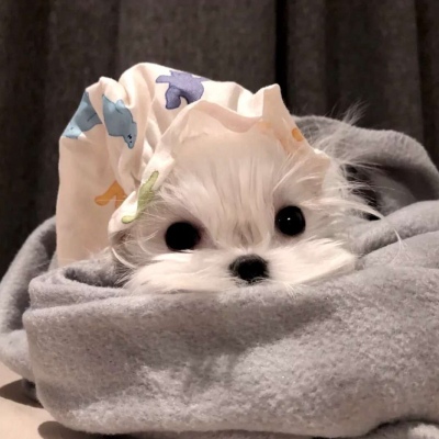 沙雕青年必备头像