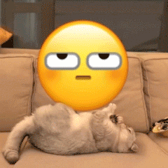 魔性猫咪转小黄脸微信表情包