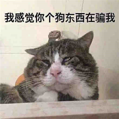 姐妹情感沟通专用表情包