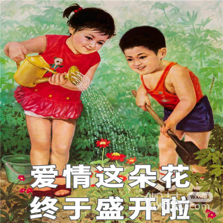 当代年轻人官宣的搞笑朋友圈配图