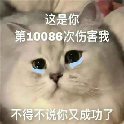 好玩的斗图表情包