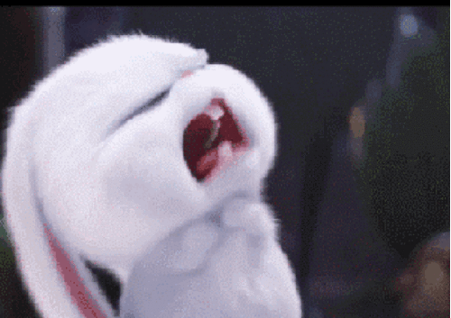 《爱宠大机密》小白兔动态微信表情包