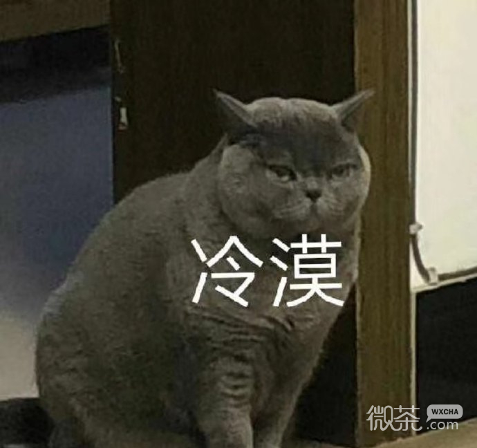 可爱小猫猫微信表情包