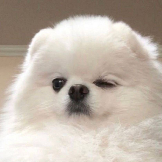 可爱趣味沙雕的个性微信头像