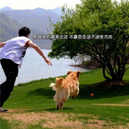 很温馨的日常背景图