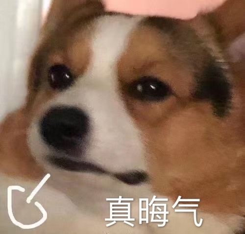 沙雕搞笑好玩斗图微信表情包