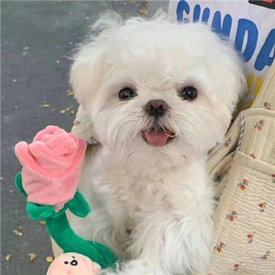 搞怪头像超级逗比