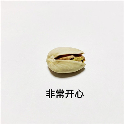 开心果的不同有趣解读微信表情包