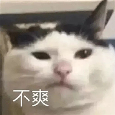 经典好笑的微信表情包
