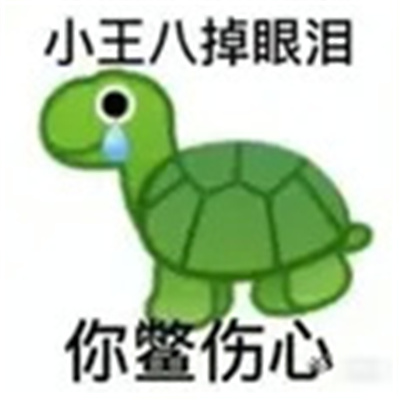 让你聊天变的有趣的表情