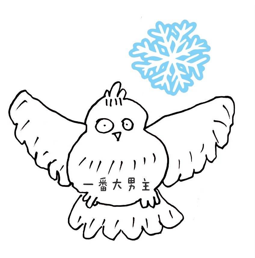 手绘猫头鹰可爱微信头像