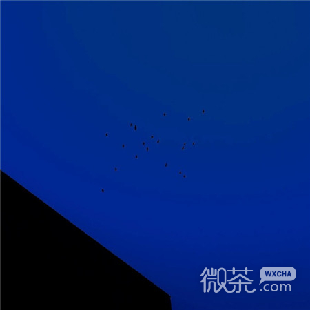 小清新简单好看的微信朋友圈背景图