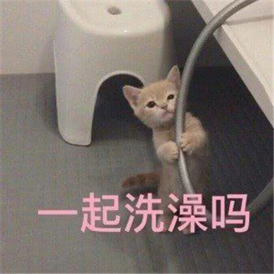 害羞又很可爱的表情包