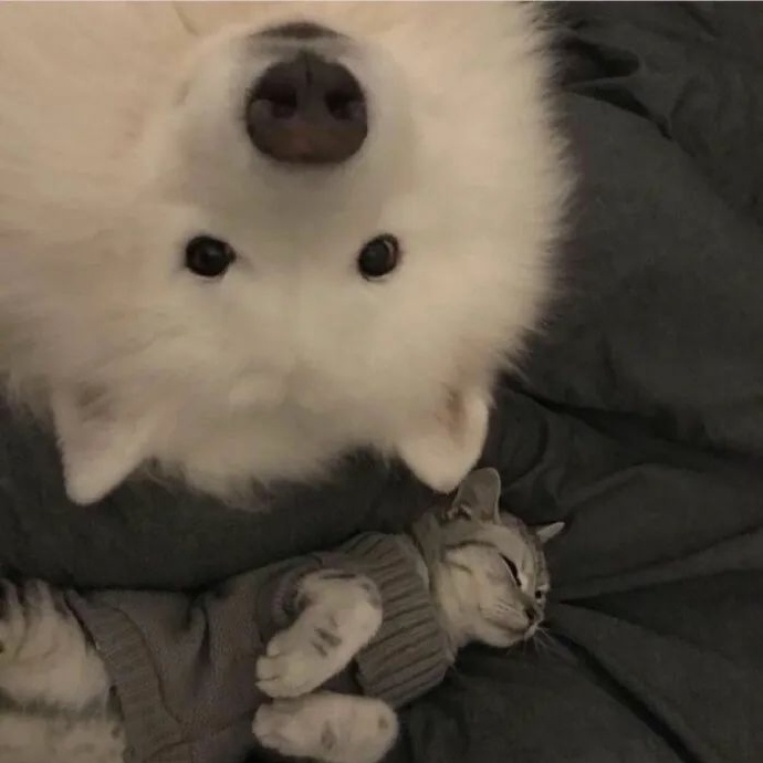 搞怪沙雕卡通微信头像