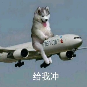 冲鸭可爱微信表情包