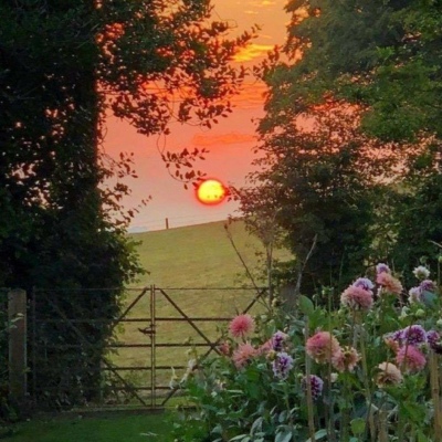 ins唯美夕阳风景微信头像