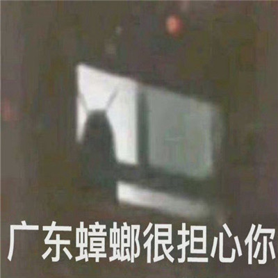 网上很流行的趣味表情包