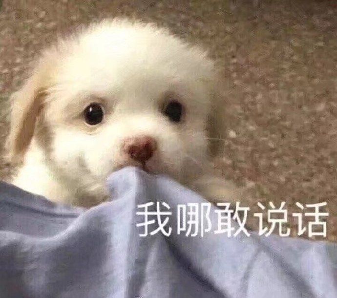 没有男朋友的快乐搞笑微信表情包