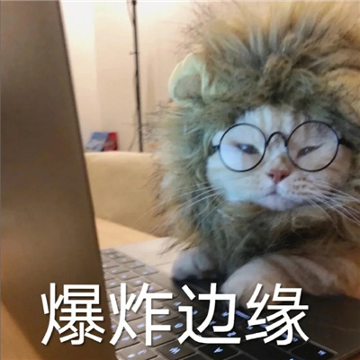 很欢乐的又搞怪的表情包