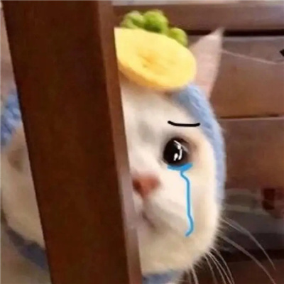 超好笑爆好笑的幽默表情