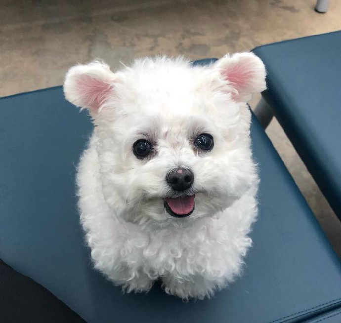 搞怪趣味可爱的卡通微信头像