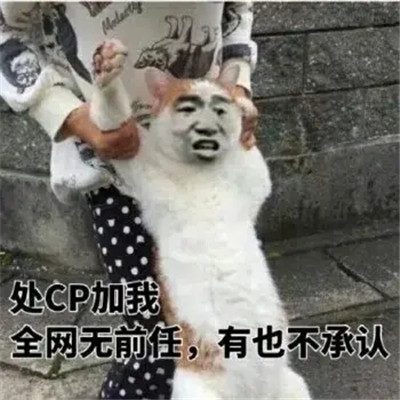 搞笑的处cp聊天表情包