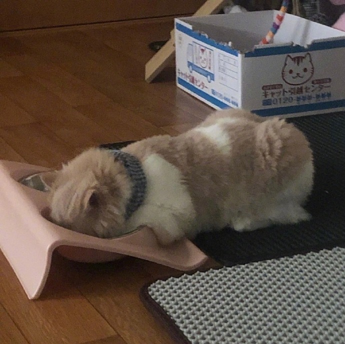 周一综合症可爱微信表情包