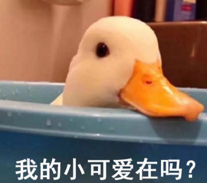 小可爱鸭子微信表情包