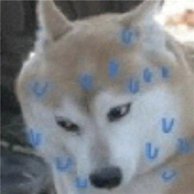 全网最沙雕的有趣搞怪表情