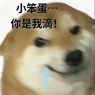 涩涩系列表情包