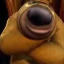 《熊出没》熊大熊二沙雕微信表情包