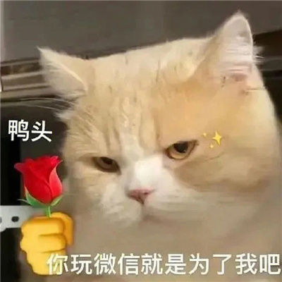 非常火的表情包